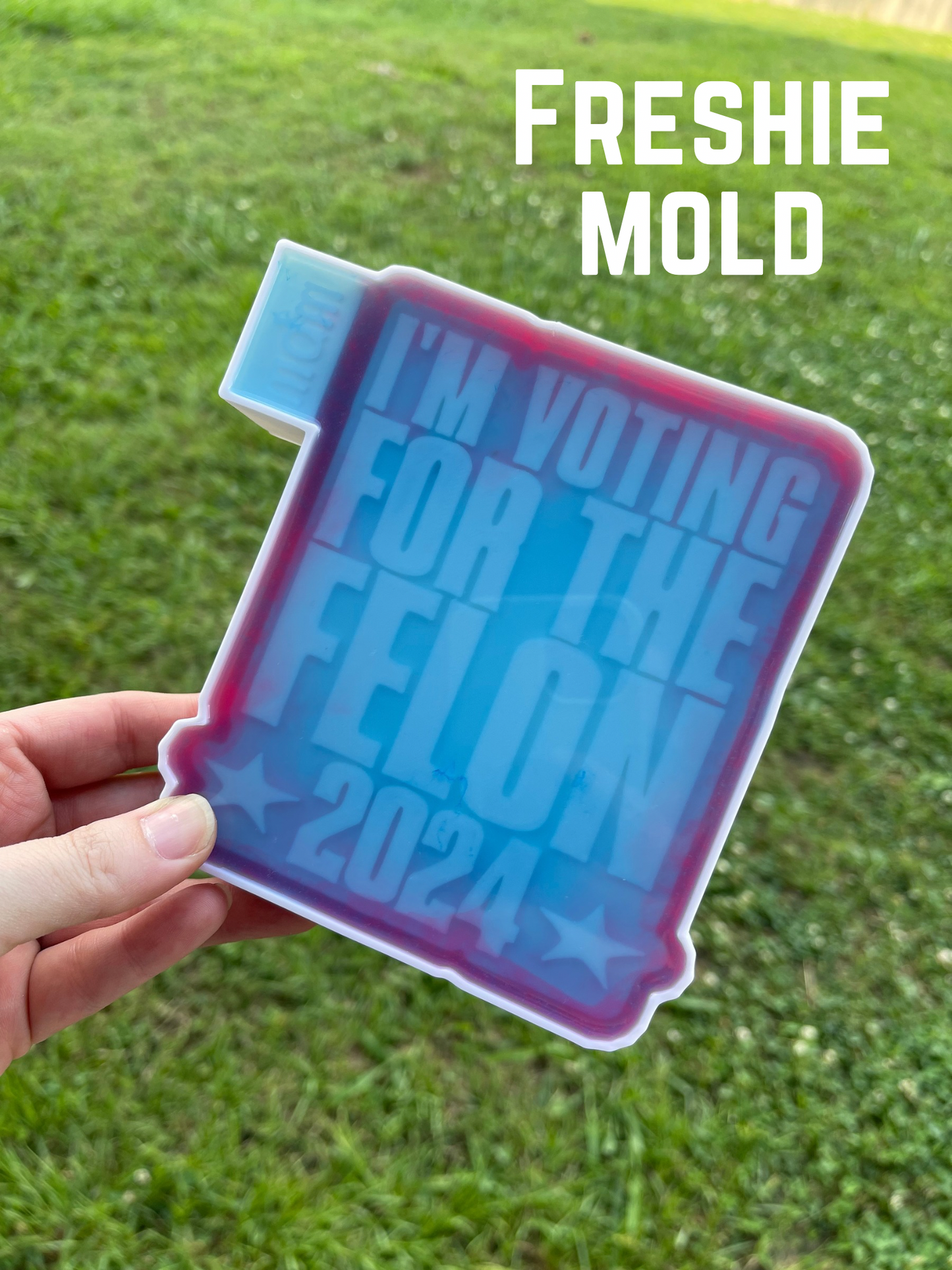 I’m Voting for the Felon freshie mold