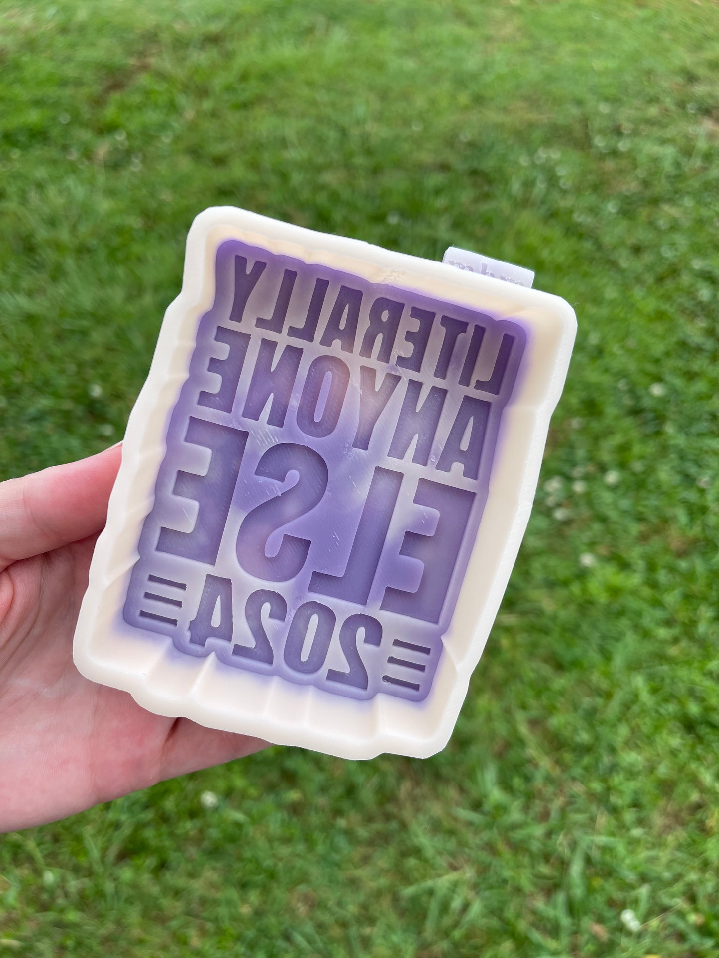 Literally Anyone Else 2024 Freshie Mold | Silicone Freshie Mold